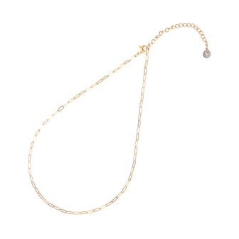 Ketting stainless steel gold N1863-2