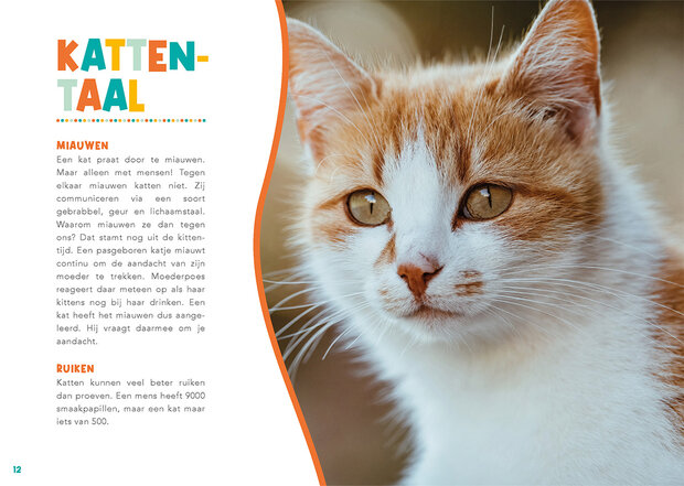 Handboek voor kattenbaasjes